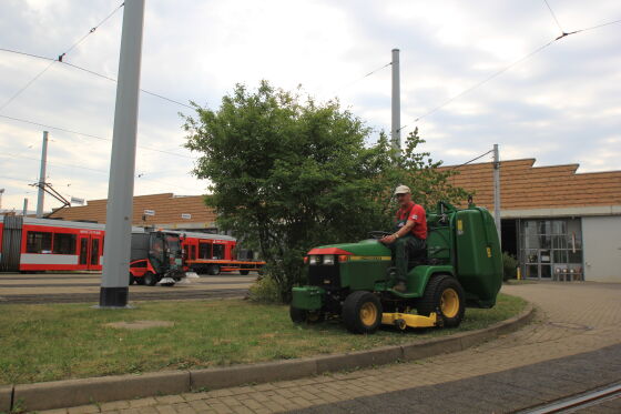 | © Servicegesellschaft Saale Vegetationspflege
